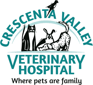 Crescenta Valley Veterinary Hospital