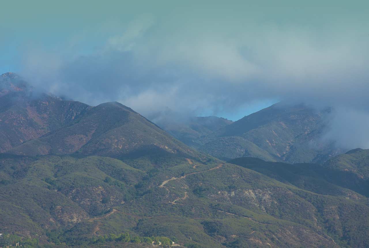 Crescenta Valley Veterinary Hospital